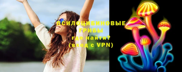 PSILOCYBIN Касимов