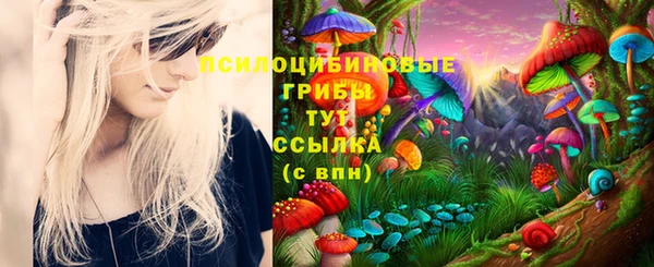 метадон Карпинск