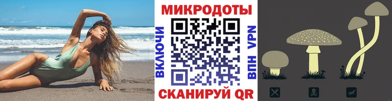 Купить где  Дагестанские Огни  Галлюциногенные грибы Psilocybine cubensis 